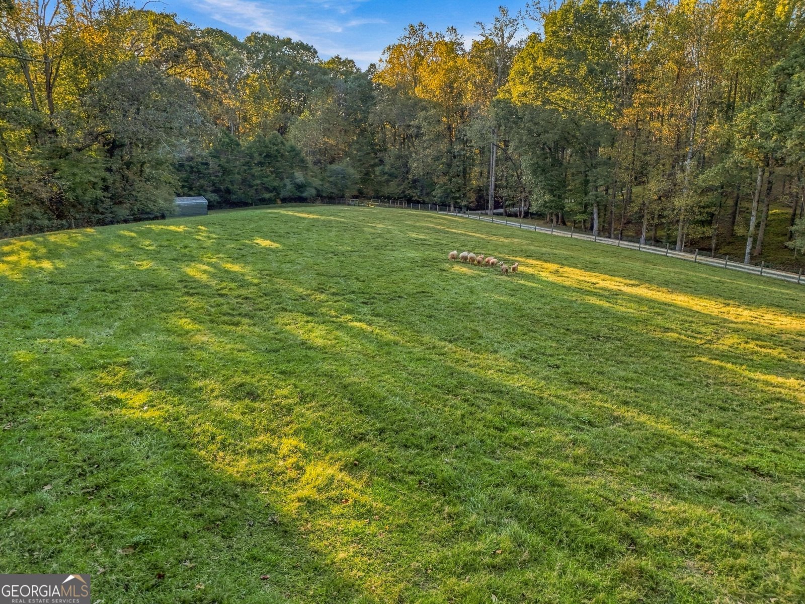 5855 Tony Peck Road Murrayville - Photo 11