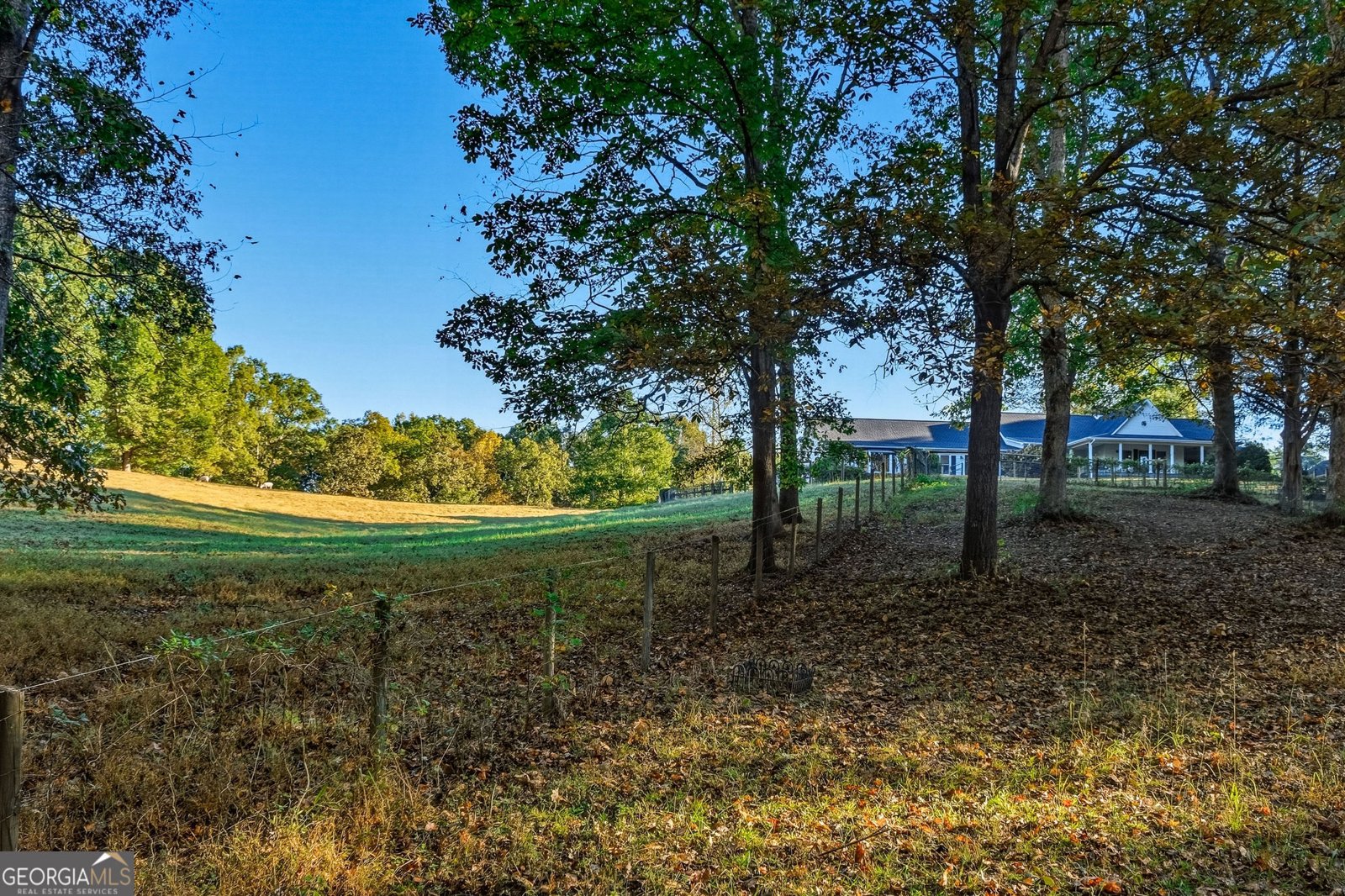 5855 Tony Peck Road Murrayville - Photo 64