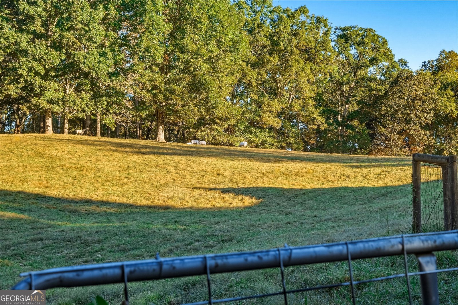 5855 Tony Peck Road Murrayville - Photo 70