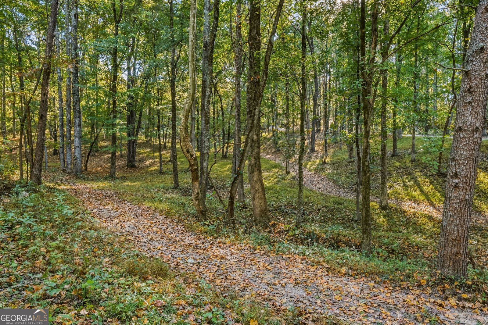 5855 Tony Peck Road Murrayville - Photo 71