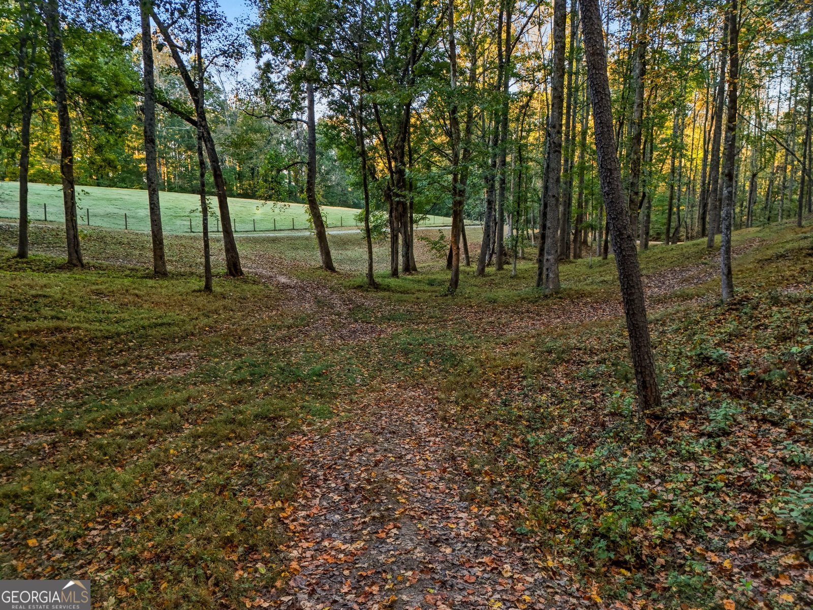 5855 Tony Peck Road Murrayville - Photo 72