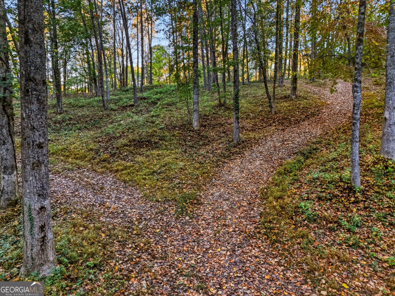 5855 Tony Peck Road Murrayville - Photo 73