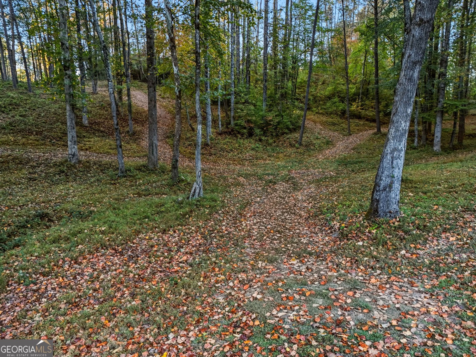 5855 Tony Peck Road Murrayville - Photo 74