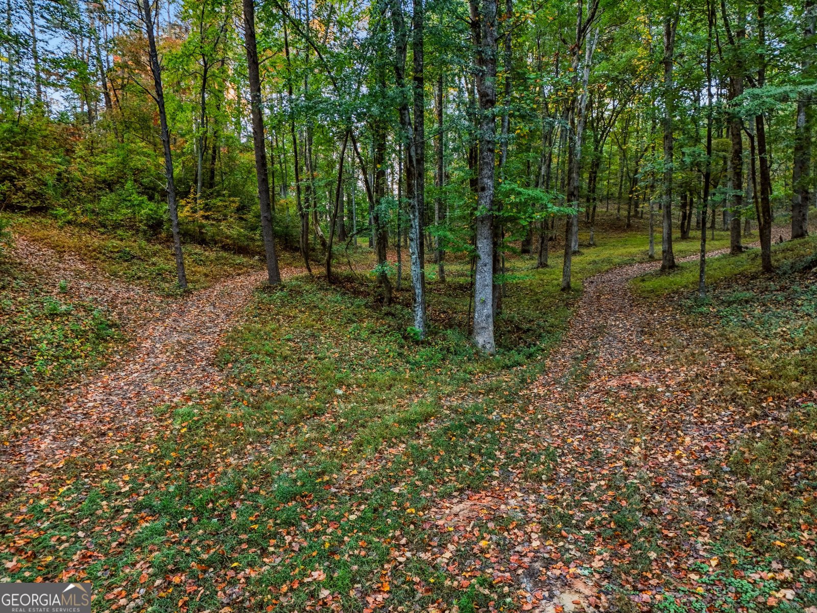 5855 Tony Peck Road Murrayville - Photo 75
