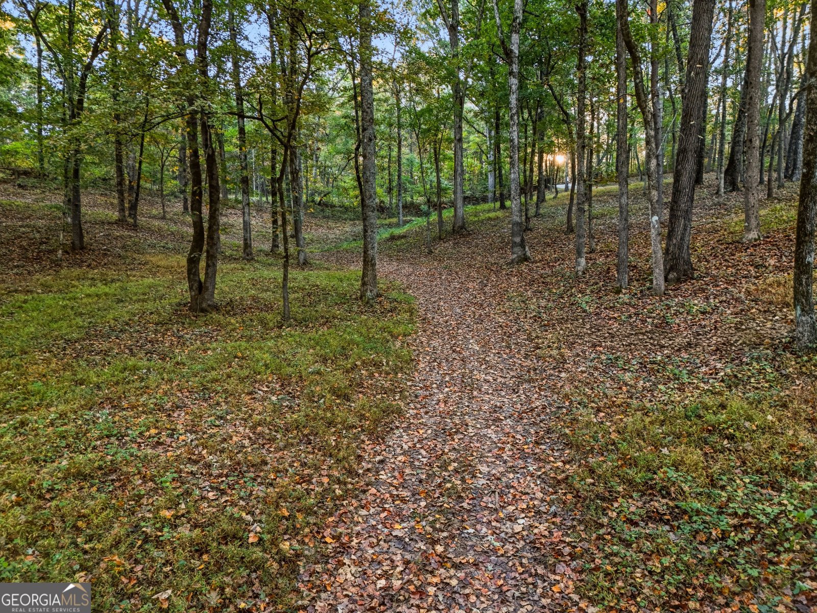 5855 Tony Peck Road Murrayville - Photo 76