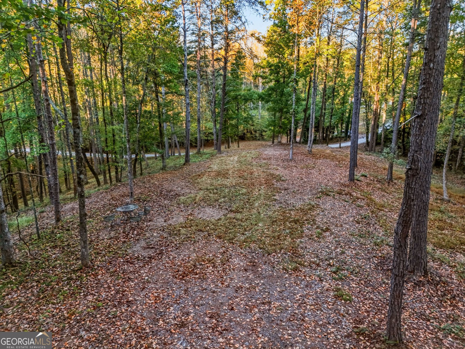 5855 Tony Peck Road Murrayville - Photo 77
