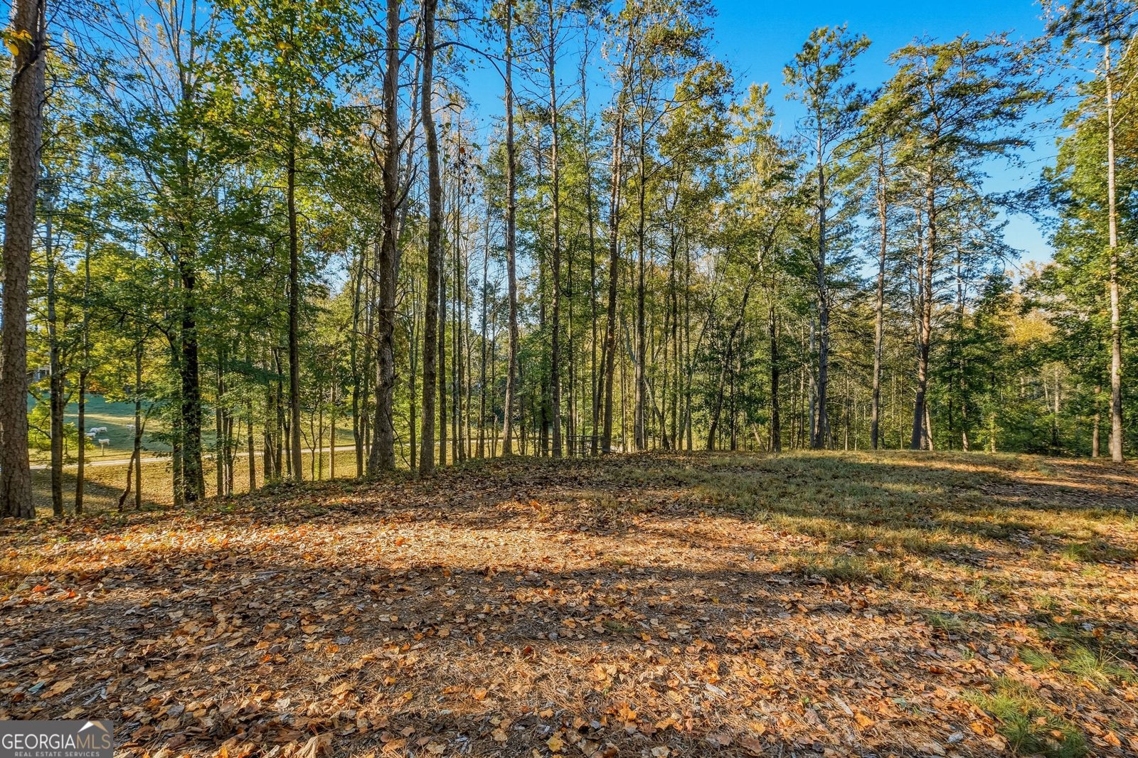 5855 Tony Peck Road Murrayville - Photo 78