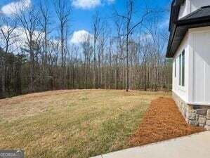 2725 Glendale Drive Conyers - Photo 59