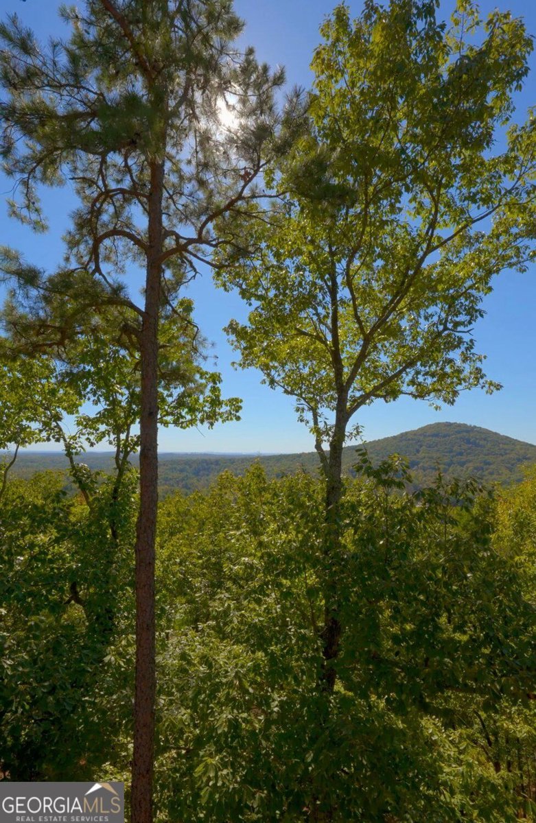 455 Highland Trail Jasper - Photo 66