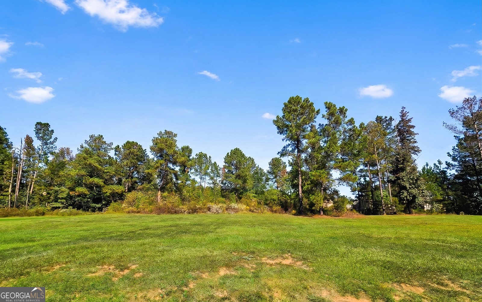 85 Triumph Trail Covington - Photo 23