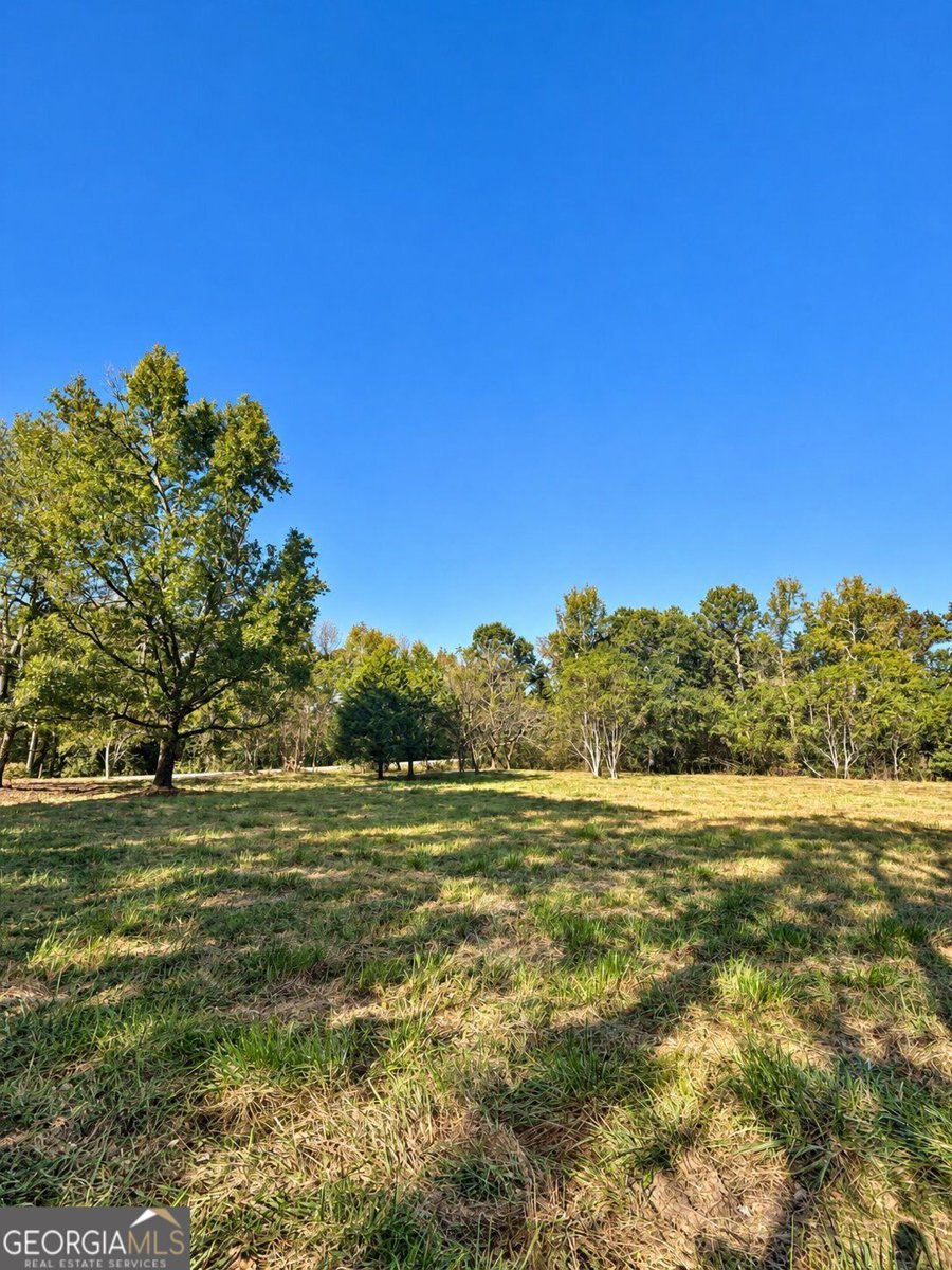 1843 Shaw Road Bowman - Photo 22