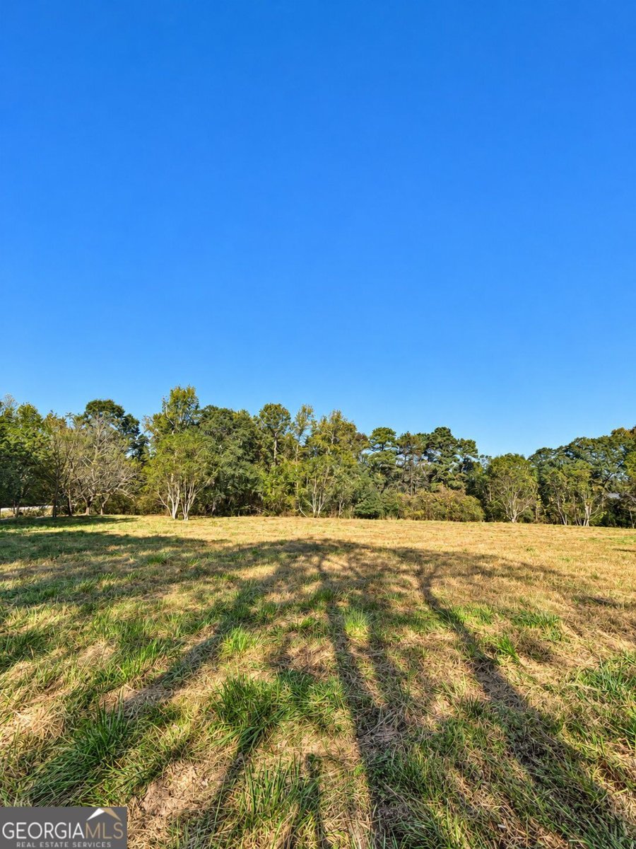 1843 Shaw Road Bowman - Photo 23