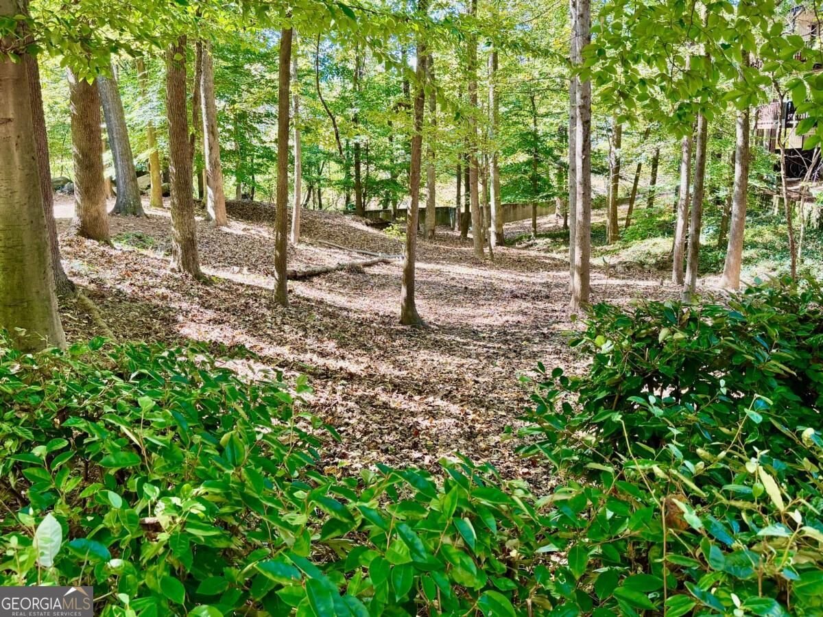 809 River Run Drive Sandy Springs - Photo 18