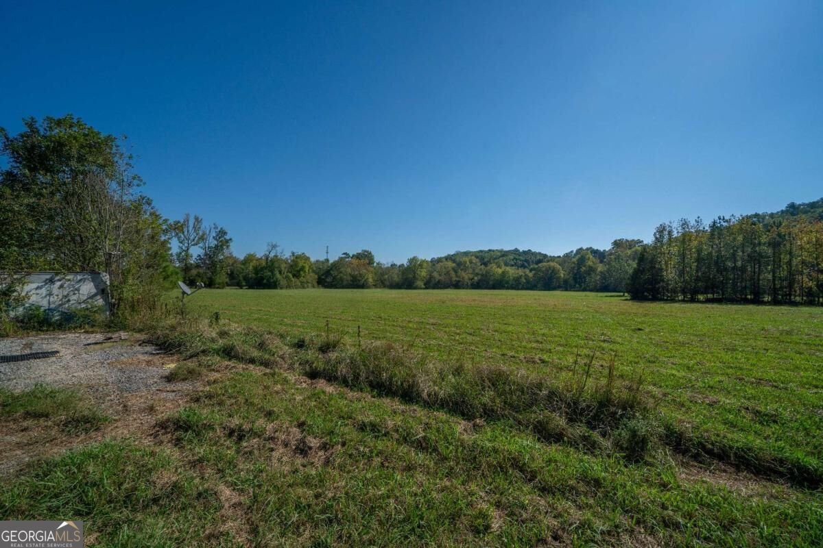 137 Brown Loop Cartersville - Photo 31