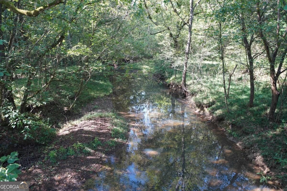137 Brown Loop Cartersville - Photo 34