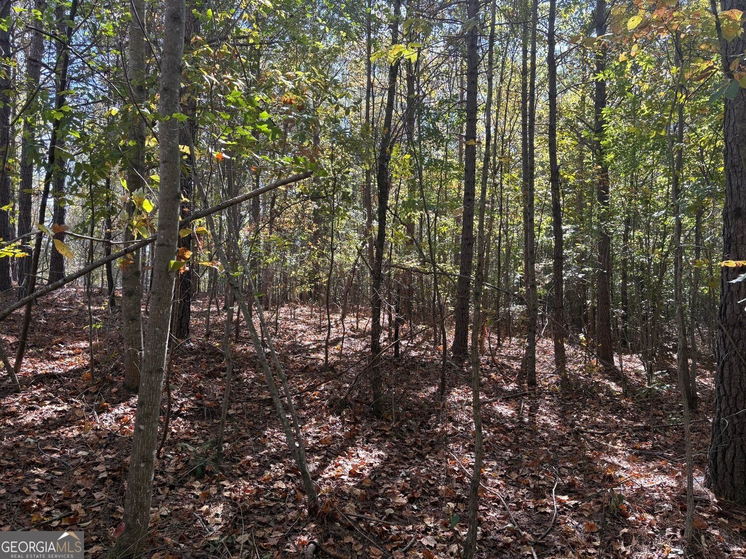 1515 Old Ridgeway Road Bremen - Photo 12