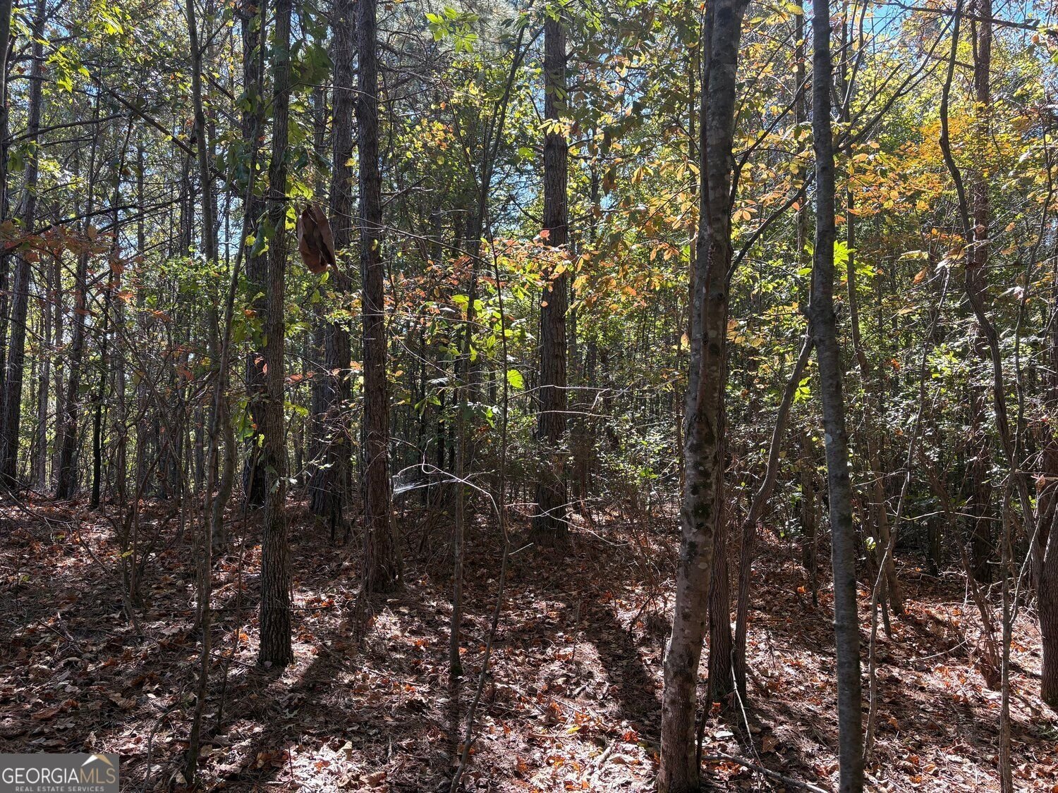 1515 Old Ridgeway Road Bremen - Photo 13