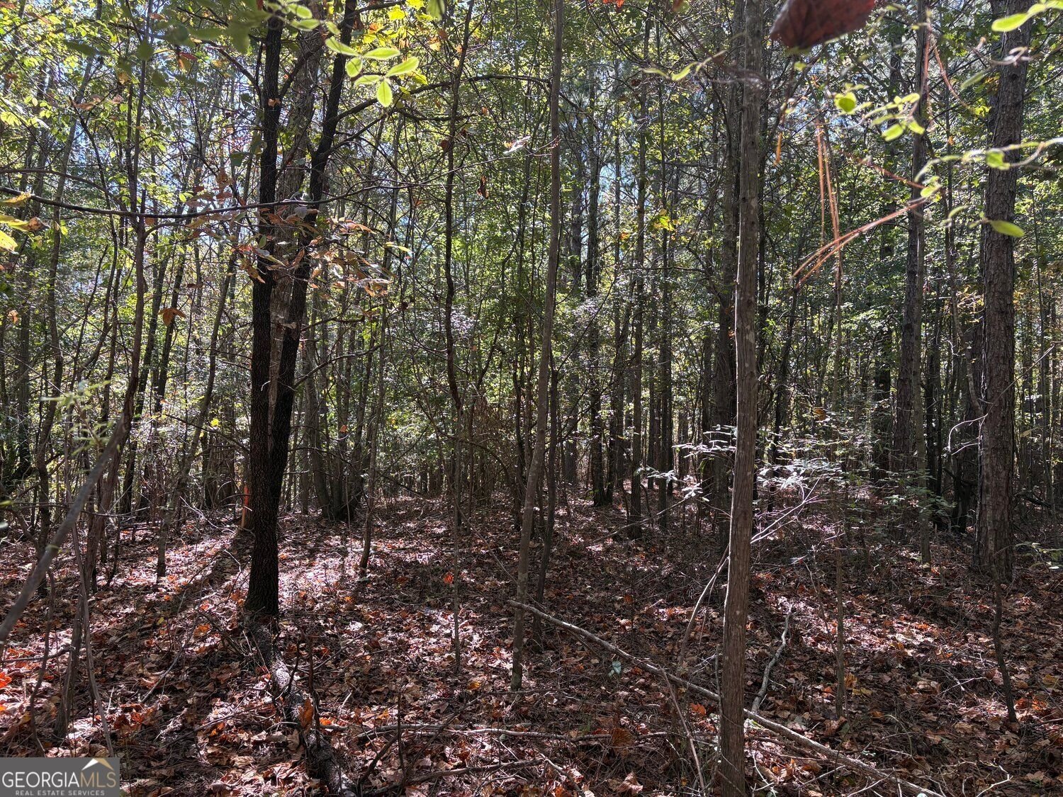 1515 Old Ridgeway Road Bremen - Photo 14