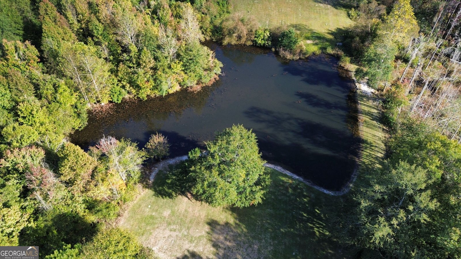 542 Garner Dominy Rd Dublin - Photo 12