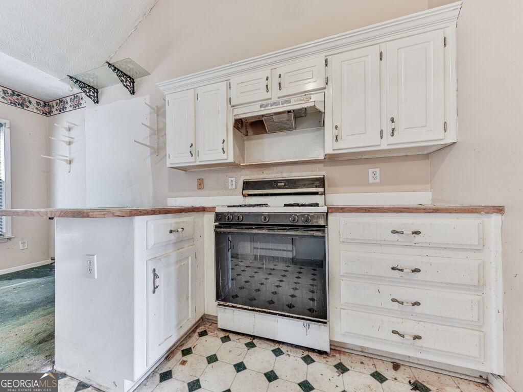 336 Etowah Valley Trace Woodstock - Photo 10