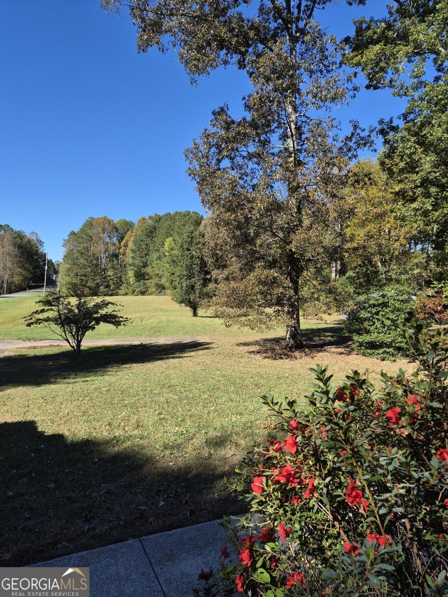 2270 Jones Mountain Road Talking Rock - Photo 35