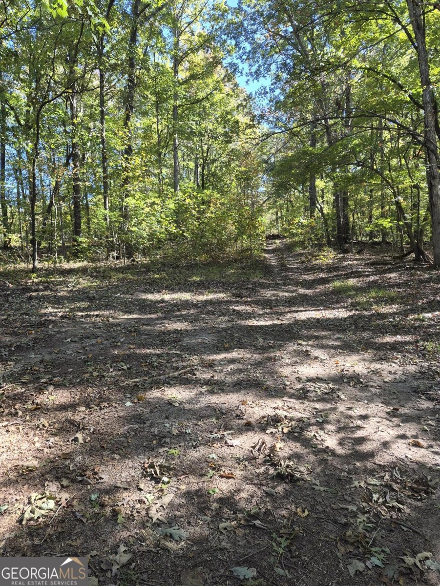 2270 Jones Mountain Road Talking Rock - Photo 39