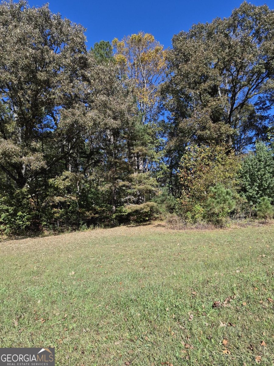 2270 Jones Mountain Road Talking Rock - Photo 43