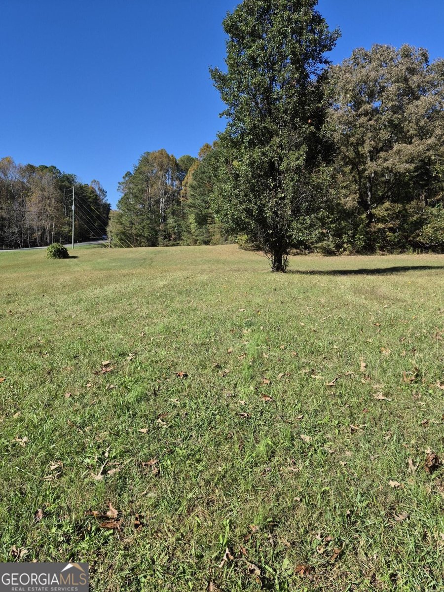 2270 Jones Mountain Road Talking Rock - Photo 45