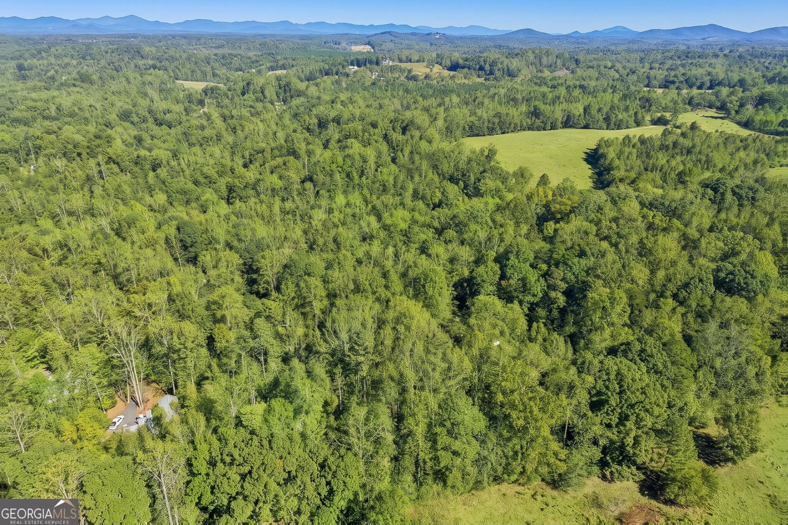 674 Gold Ridge Road Dahlonega - Photo 40