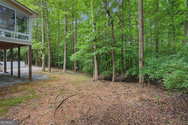 590 Alexander Creek Road Newnan - Photo 43
