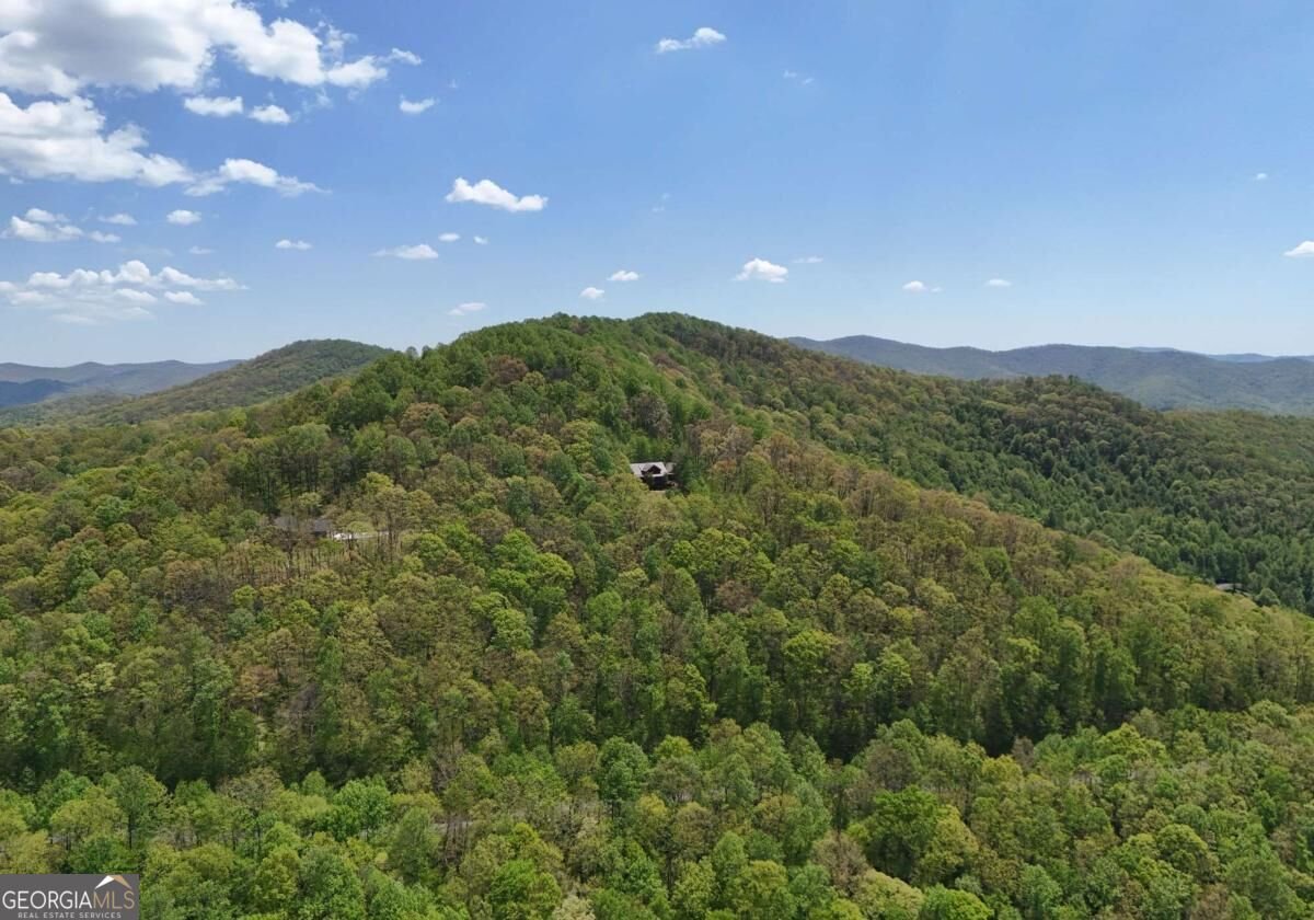327 Prospectors Pass Ellijay - Photo 17