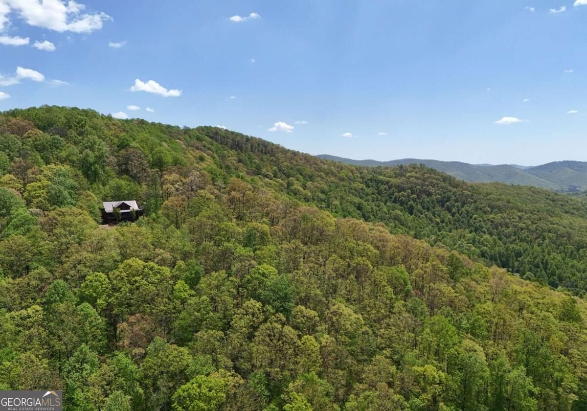 327 Prospectors Pass Ellijay - Photo 38