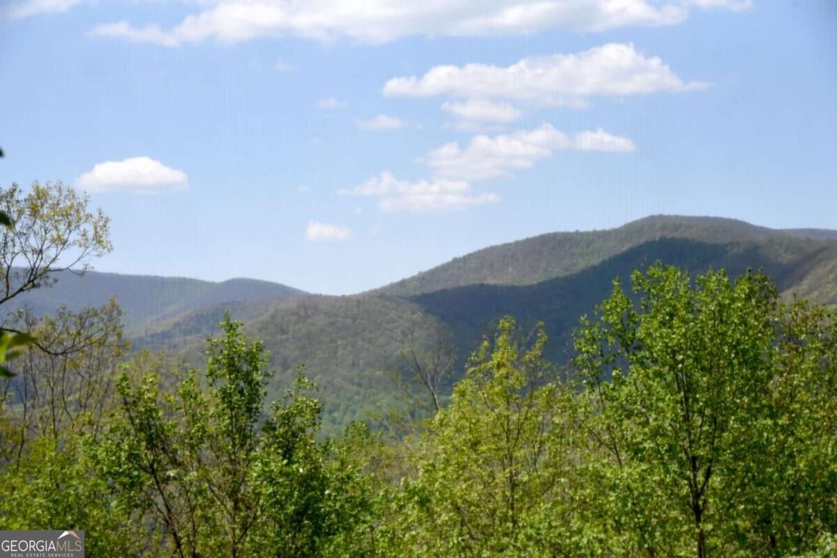 327 Prospectors Pass Ellijay - Photo 39
