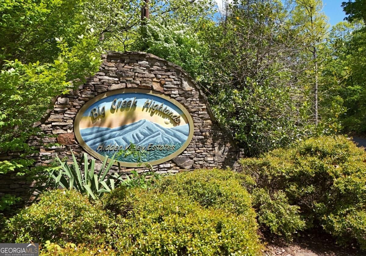327 Prospectors Pass Ellijay - Photo 7