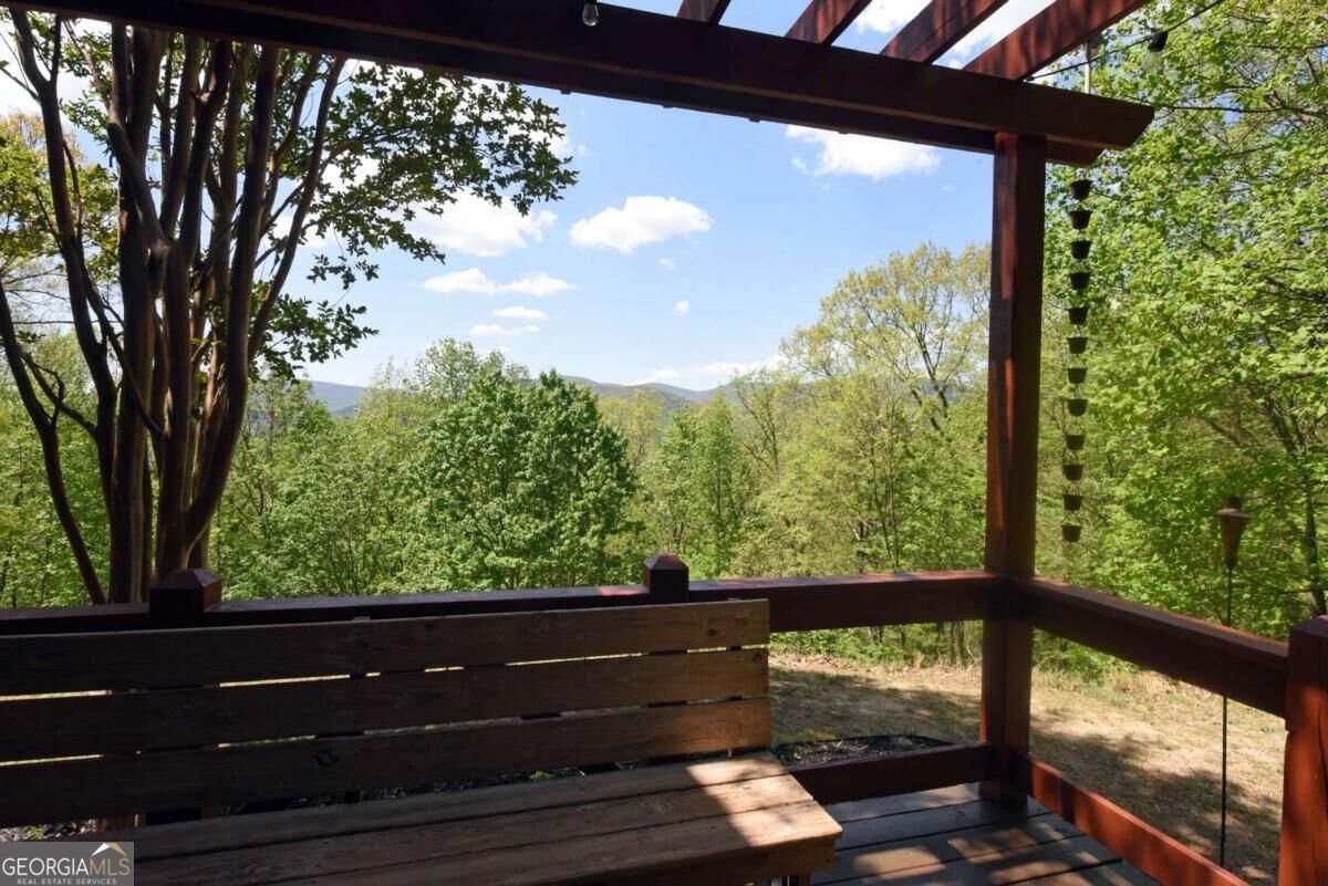 327 Prospectors Pass Ellijay - Photo 76