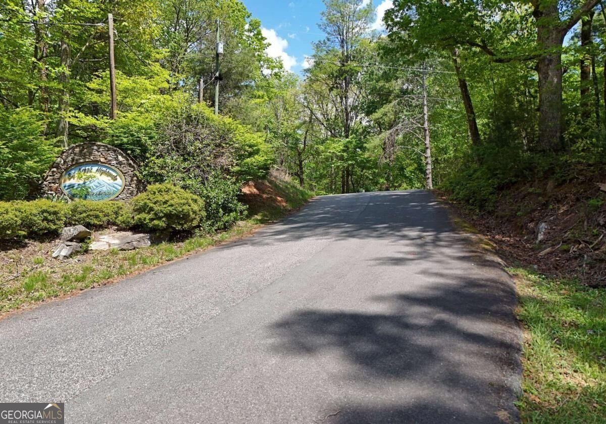 327 Prospectors Pass Ellijay - Photo 8
