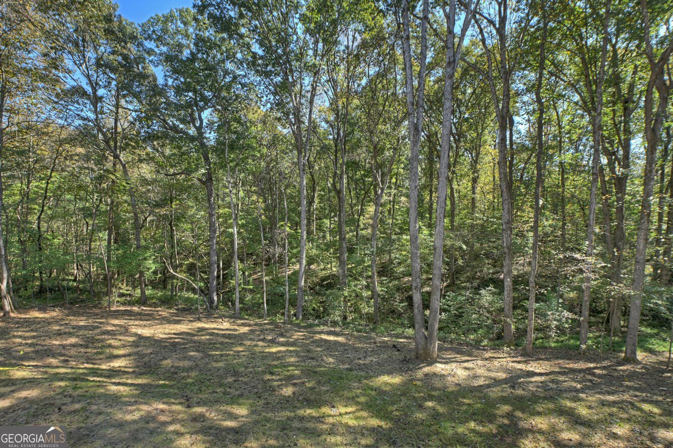52 Blackberry Mountain Road Ellijay - Photo 30