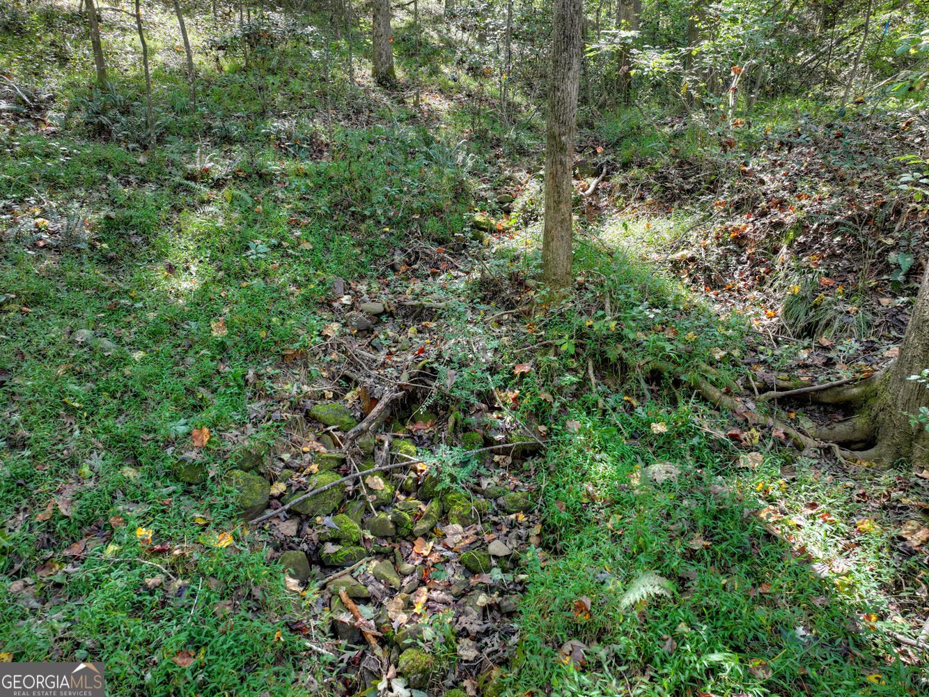 52 Blackberry Mountain Road Ellijay - Photo 37