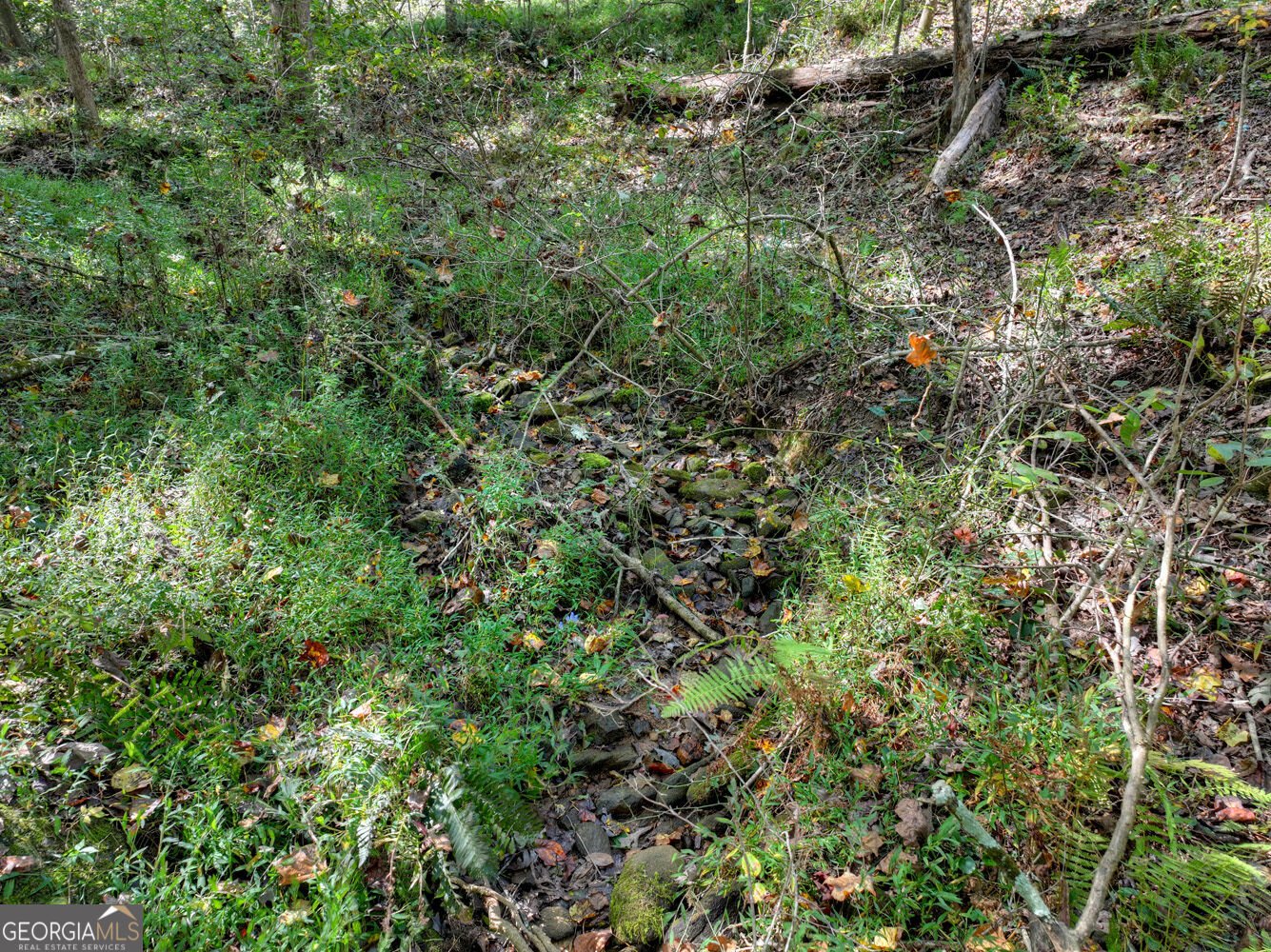 52 Blackberry Mountain Road Ellijay - Photo 38