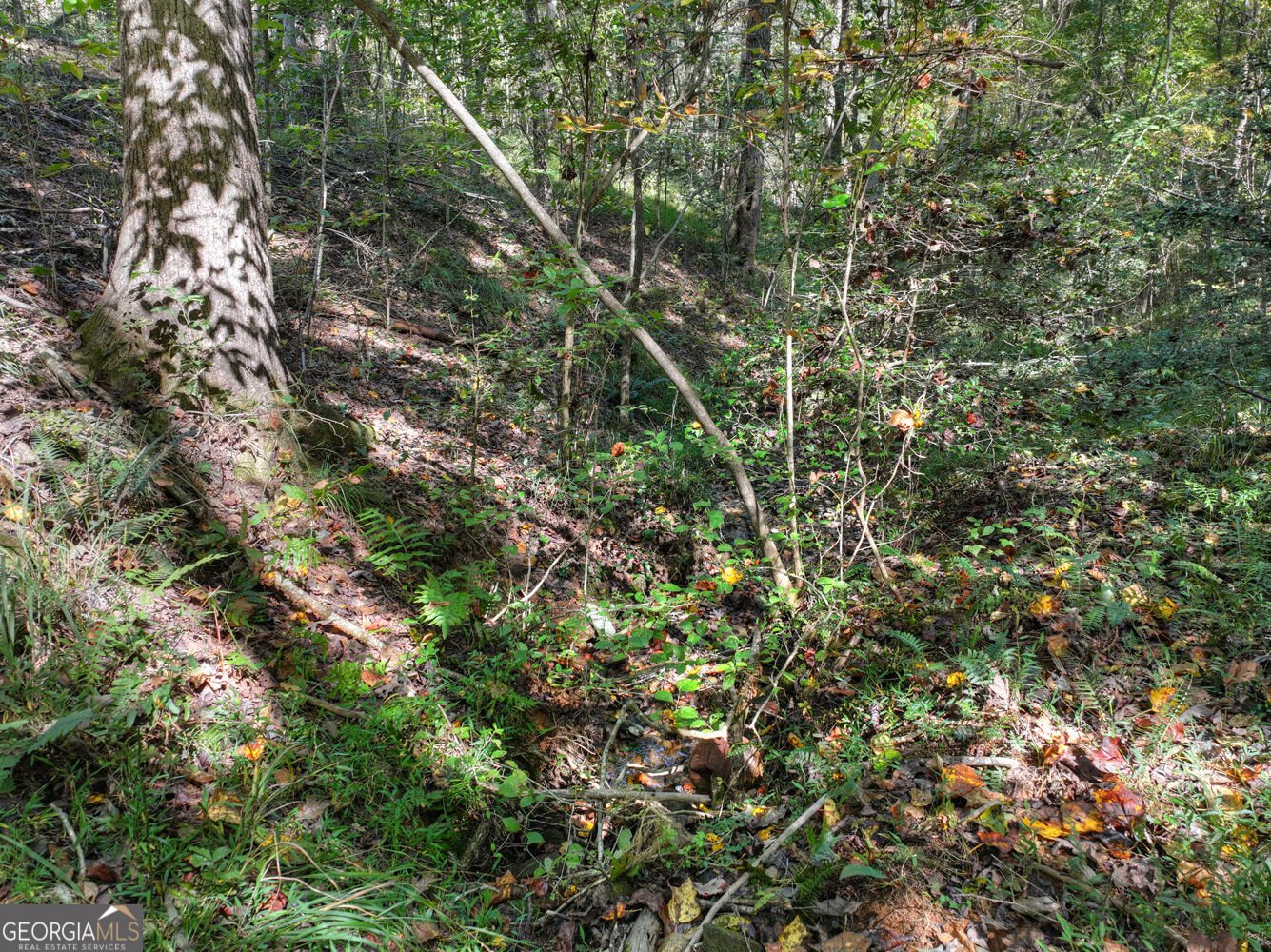 52 Blackberry Mountain Road Ellijay - Photo 39