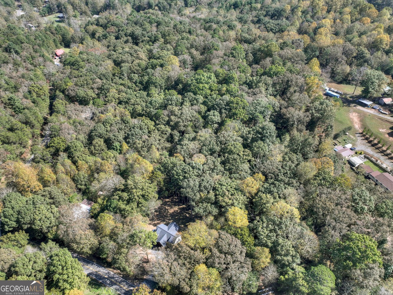 52 Blackberry Mountain Road Ellijay - Photo 43