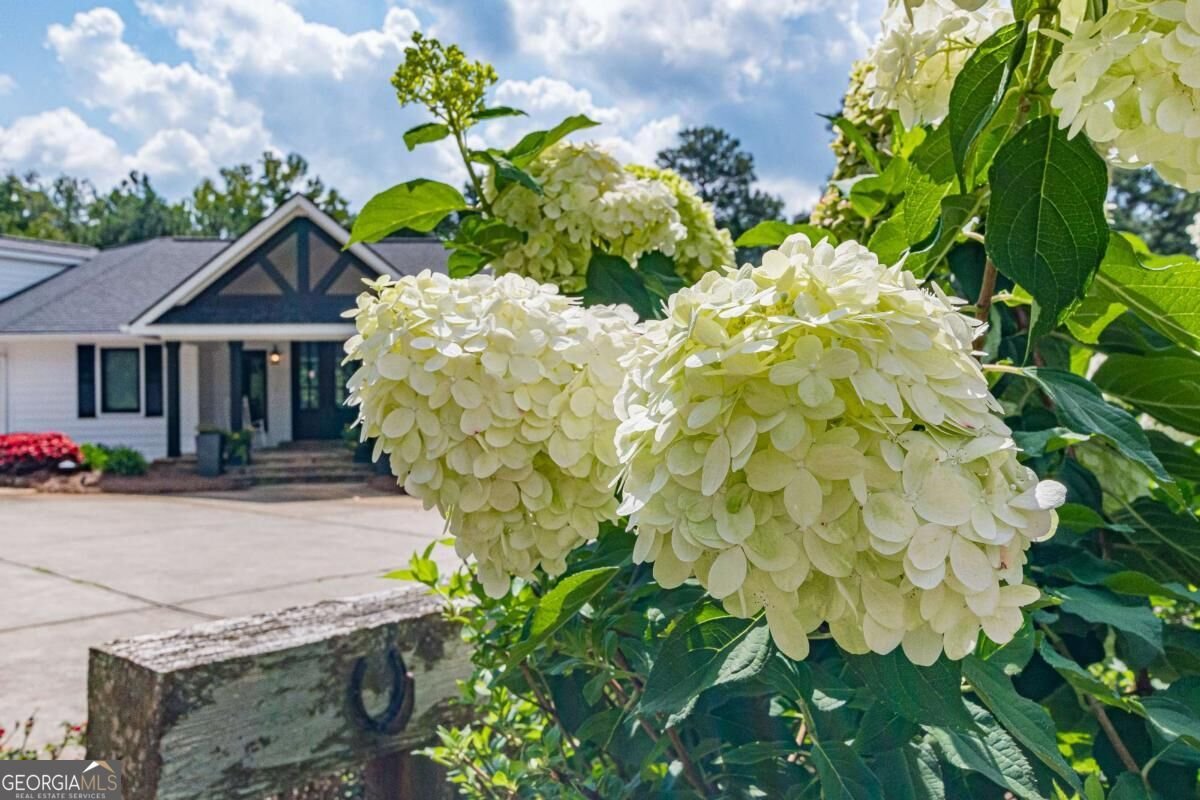 9667 Ephesus Church Road Villa Rica - Photo 12