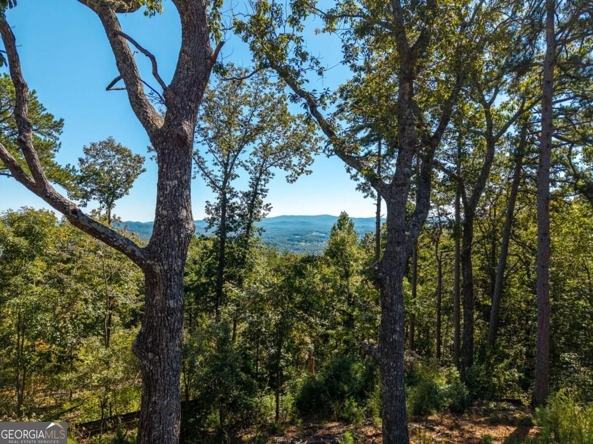 LOT 23 Cherokee Circle Ellijay - Photo 25