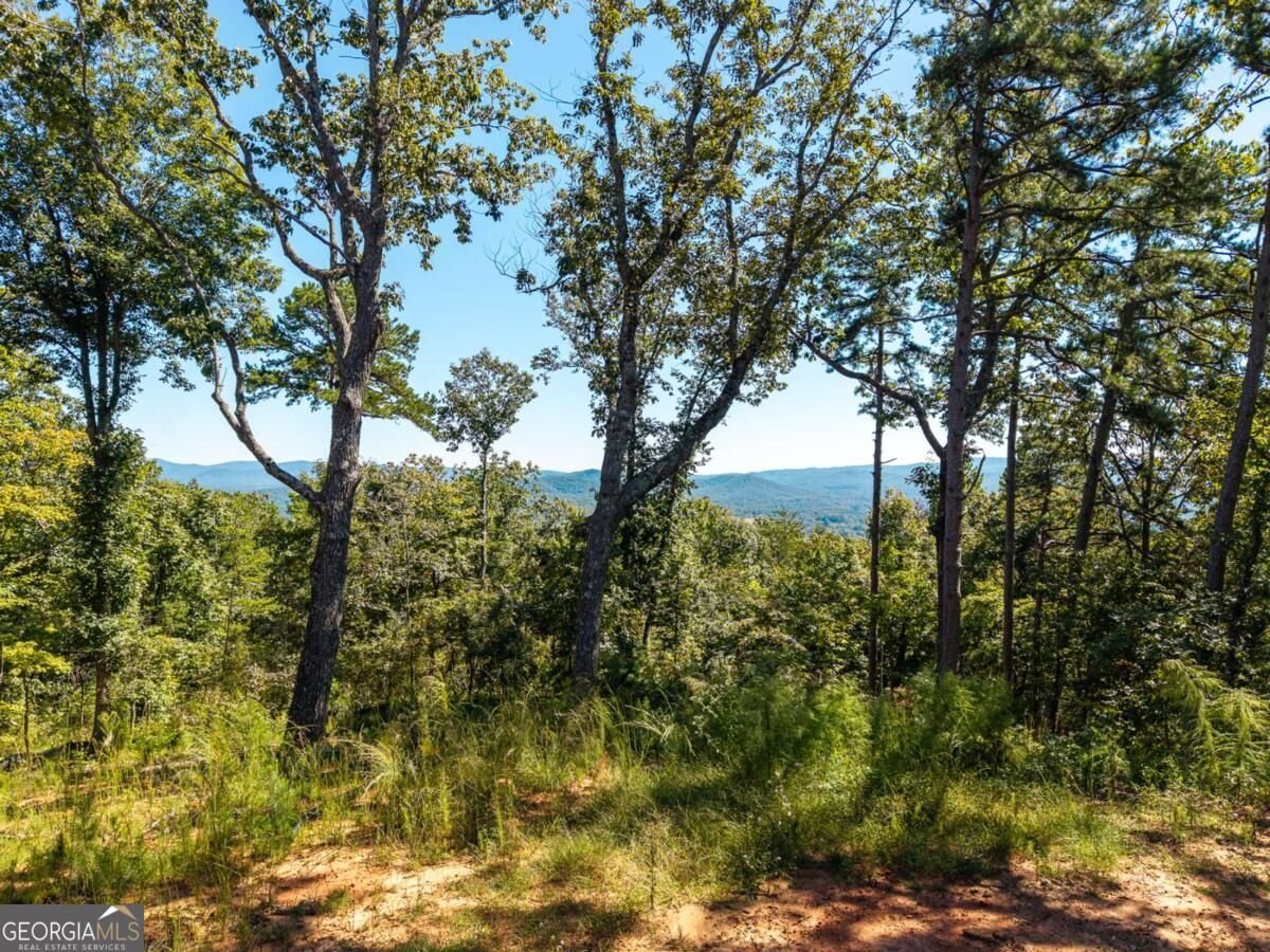 LOT 23 Cherokee Circle Ellijay - Photo 26