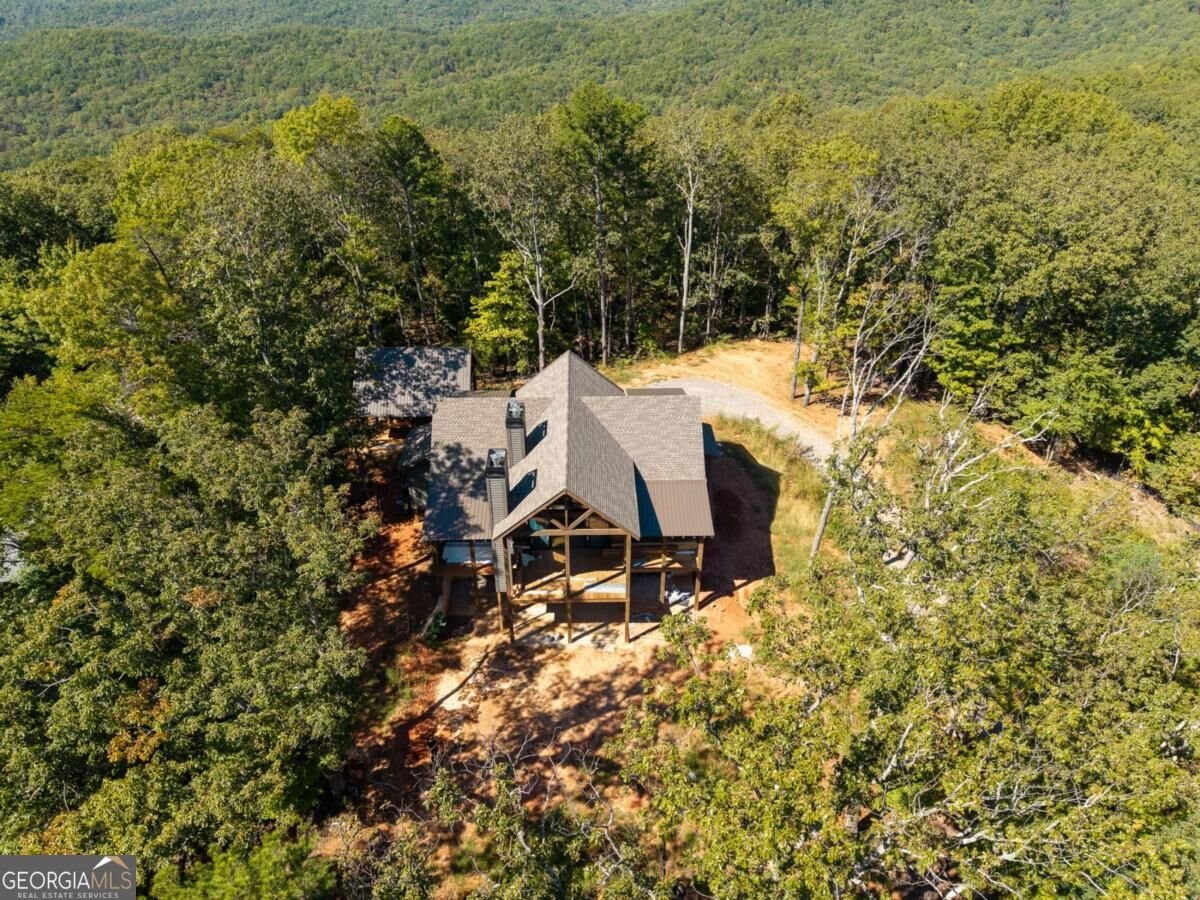 LOT 23 Cherokee Circle Ellijay - Photo 29