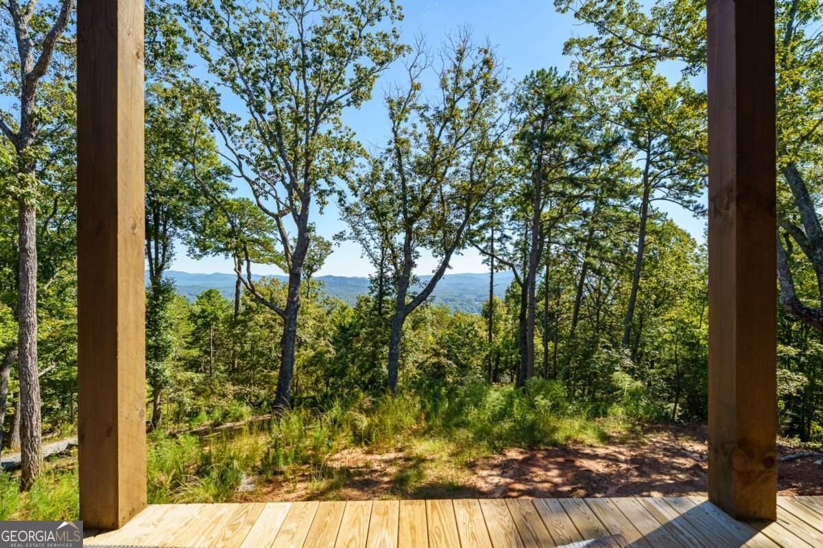 LOT 23 Cherokee Circle Ellijay - Photo 32
