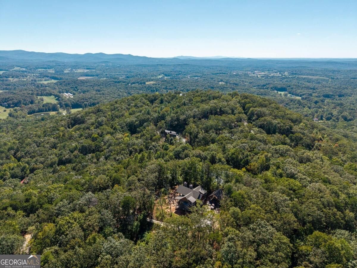 LOT 23 Cherokee Circle Ellijay - Photo 33