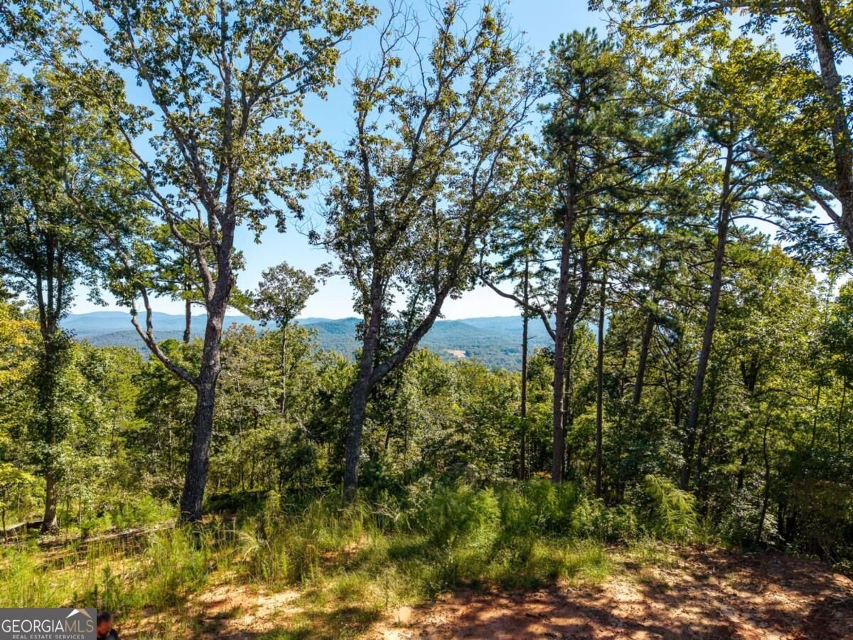 LOT 23 Cherokee Circle Ellijay - Photo 34