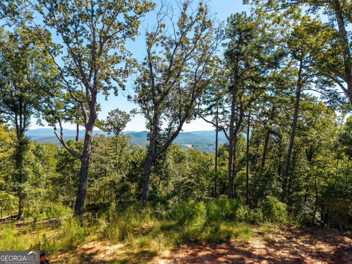 LOT 23 Cherokee Circle Ellijay - Photo 35