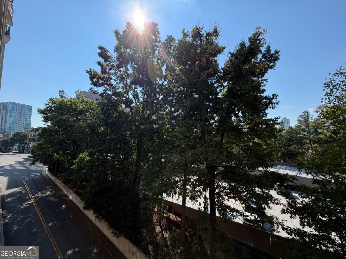 3040 PEACHTREE Road Atlanta - Photo 29